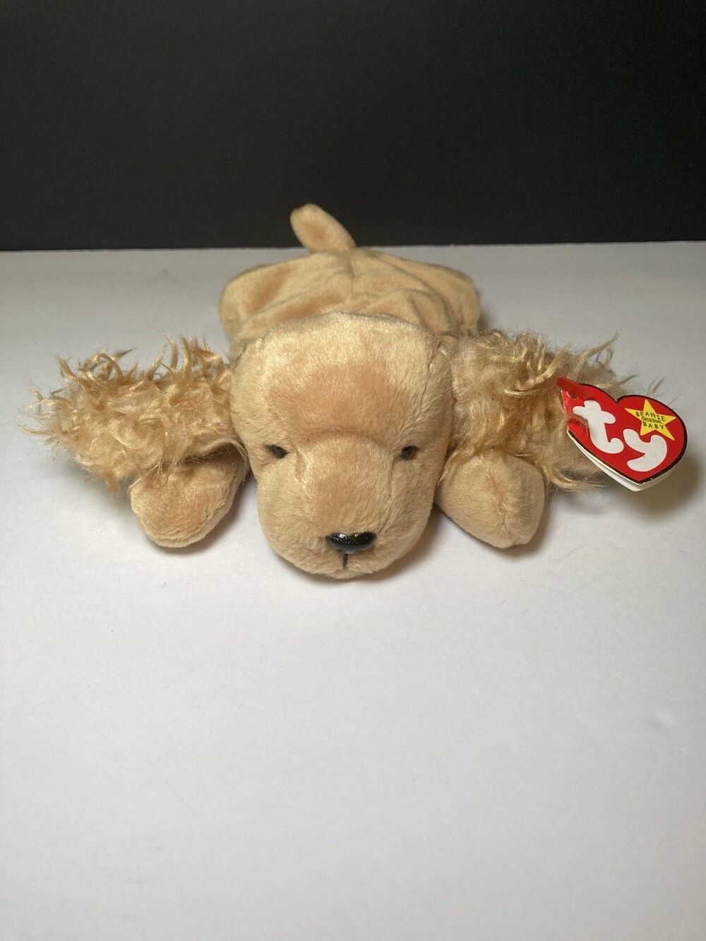 Retired Ty Beanie Babies Spunky The Cocker Spaniel 1997 Plush Collectible
